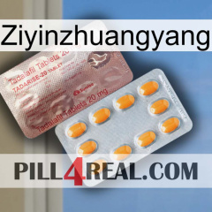 Ziyinzhuangyang new13